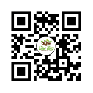 qr web